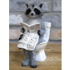 Racoon On The Loo