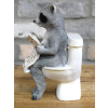 Racoon On The Loo