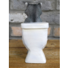 Racoon On The Loo