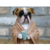 Bedtime Bulldog