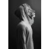 Lion Wall Art
