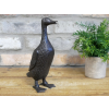 Cast Iron Duck