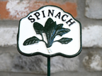 Spinach Sign