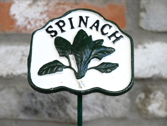 Spinach Sign