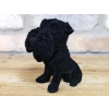Scottie Dog