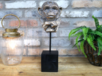 Monkey Head