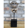 Monkey Head