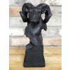 Ram Head