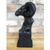 Ram Head