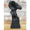 Ram Head