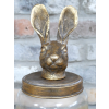 Rabbit Jar
