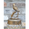 Bird Jar