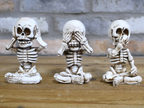 Set Of 3 Skeletons