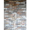 Skeleton With Flying Umbrella