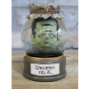 Frank in Jar