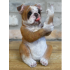 Up Yours Bulldog
