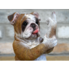 Up Yours Bulldog