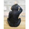 Little Loser Monkey