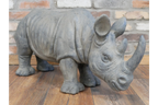 Rhino