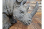 Rhino