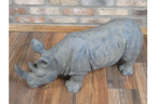 Rhino