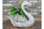 Swan Planter