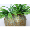 Planter / Vase