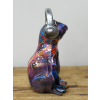 Multi Colour Frog