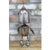 Silver Robot