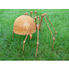 Rusty Spider