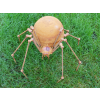 Rusty Spider