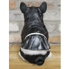Boxing Dog - Black