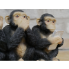 Four Monkeys