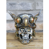 Bird On Skull