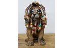 Dreadlocks Lion