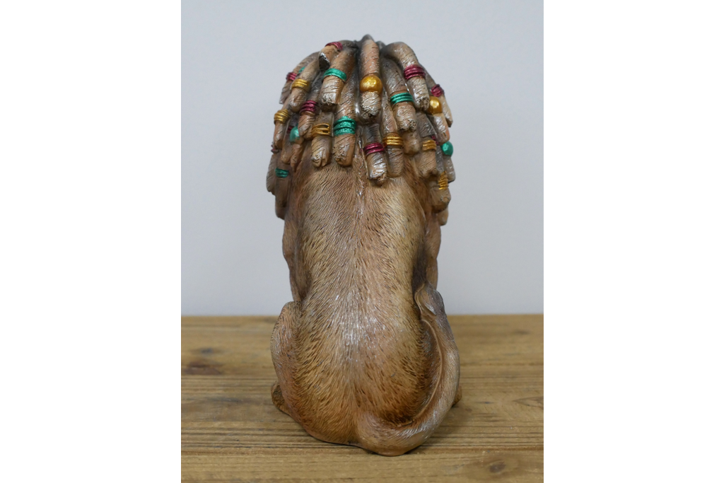Dreadlocks Lion