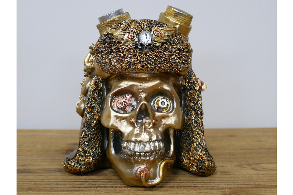 Steampunk Skull