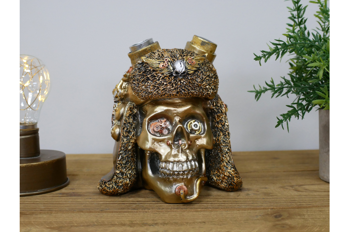 Steampunk Skull