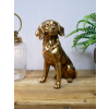 Golden Dog