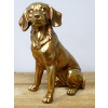 Golden Dog