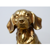 Golden Dog