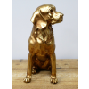 Golden Dog