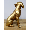 Golden Dog
