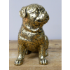 Jigsaw Dog