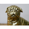 Jigsaw Dog