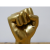 Power Fist (L)