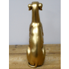 Golden Sitting Dog