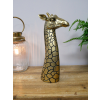 Giraffe Head (M)