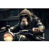 Motorbike Monkey Wall Art