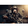 Motorbike Monkey Wall Art